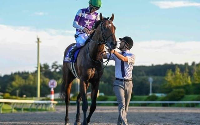 【プロキオンS予想オッズ】サンライズジパングが予想1番人気