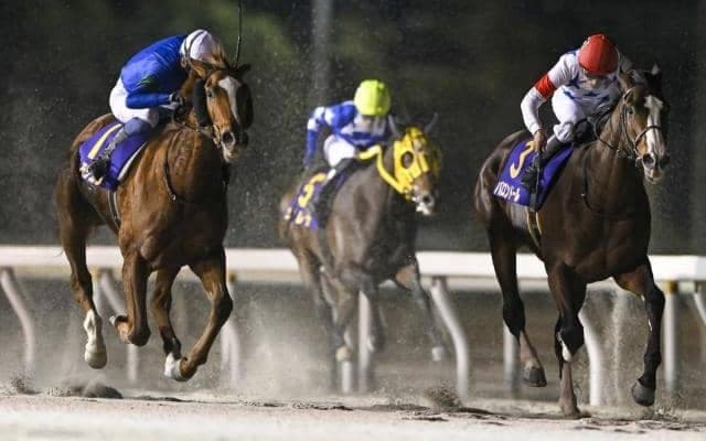 今年も始まるダート三冠への道 ブルーバードC前に競走体系をおさらい