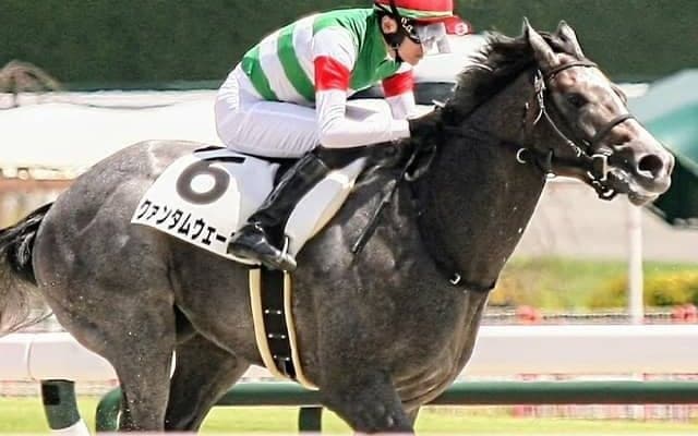 【船橋・ブルーバードC注目馬】連覇を狙う松永幹厩舎 今年も有力馬2頭を送り込む