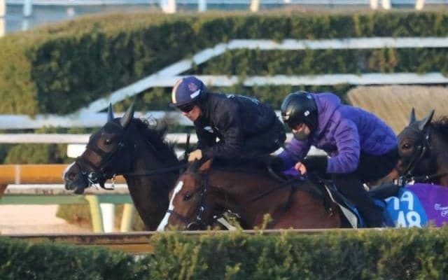 カムニャック、エルフィンS2週前追い切り速報/栗東トレセンニュース