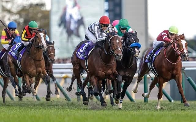 最高はジャパンCの5位 24年世界のトップ100GIに日本から13競走