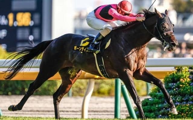 【AJCC予想】例年にも増して強力なメンバー構成に AIの推奨馬はかなり魅力的な妙味もつ一頭