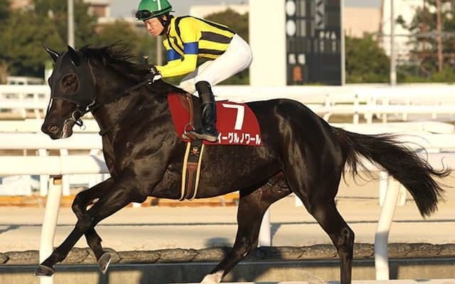 23年兵庫ジュニアグランプリ覇者イーグルノワールが抹消 今後は大井競馬に移籍予定