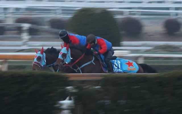 タガノビューティー、根岸S1週前追い切り速報/栗東トレセンニュース