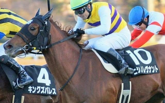 “西山牧場の結晶”がAJCCに参戦 オーナーの勢いに乗り重賞初Vなるか