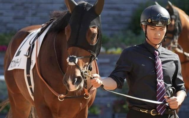 G1・9連勝“欧州の怪物”×桜花賞馬の仔 競走除外を乗り越え初陣Vなるか