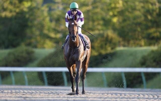 【プロキオンS枠順確定】サンライズジパングは5枠9番、オメガギネスは5枠10番