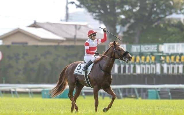 【AJCC枠順確定】ダノンデサイルは4枠8番、レーベンスティールは1枠2番