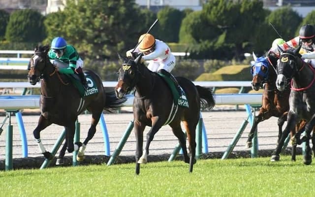 冬の小倉は開幕週でも差し馬が狙い目！ 新重賞・小倉牝馬Sのコース傾向を解説