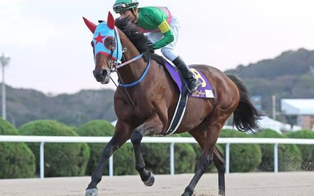 【根岸S想定馬・騎手】タガノビューティー、ドンフランキーなど24頭