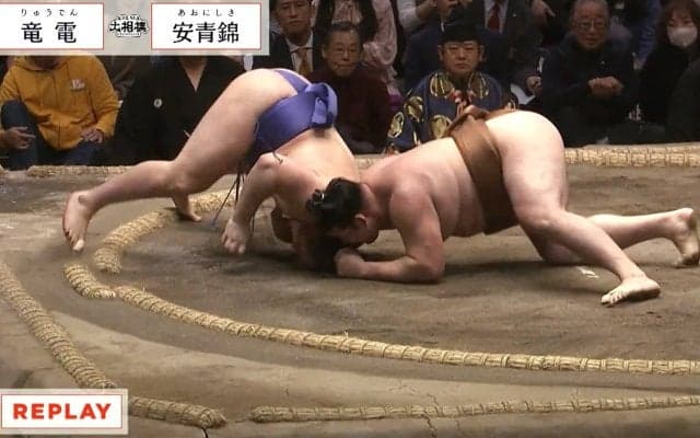 「あぁ、イケメン力士の髷が…」「これは珍しい形」劇的な結末にファン騒然