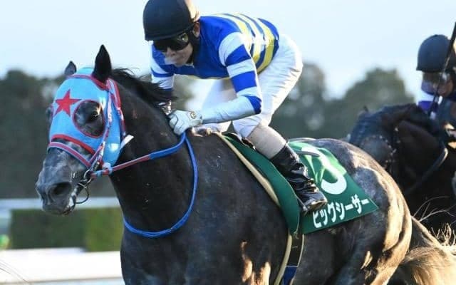 【シルクロードS想定馬・騎手】ビッグシーザー、ピューロマジックなど18頭