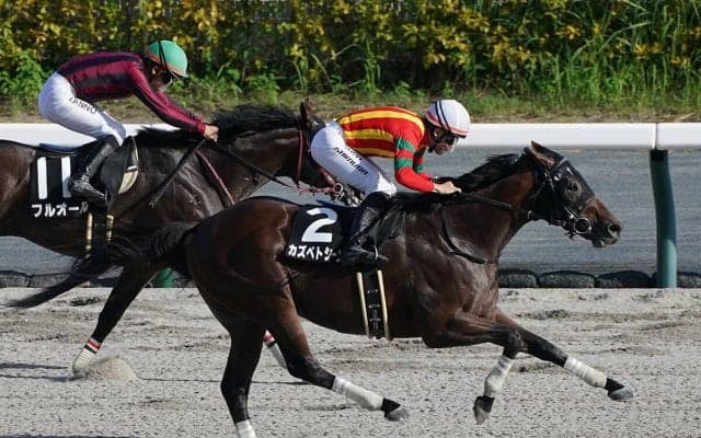 【競馬血統予想】プロキオンＳで注目すべきは「血の勢い」 種牡馬、牝系の成績から２頭に絞る