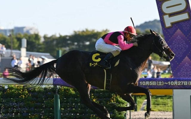 【競馬予想】AJCC、異例のダービー馬出走で注目度が増すなか、舞台適性から浮上する穴馬にも要注意