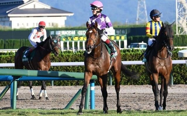 【プロキオンS前日オッズ】サンライズジパングが2.9倍で1番人気