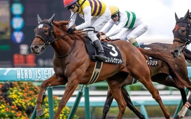 4.5億円キャリーオーバー中 明日のWIN5対象レース注目馬は？