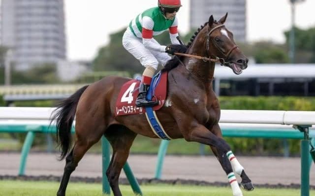 【AJCC予想】今年の中長距離路線を占う 実績馬有利な別定重量戦