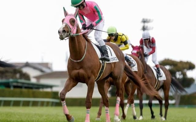 【プロキオンS予想】中京ダ1800m舞台の前哨戦 フェブラリーSへの直行切符をかけた戦い