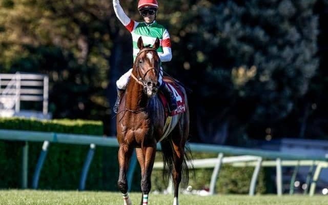 【AJCC予想】上位＆中位人気の組み合わせに妙味あり？ 過去データで探るGII・AJCC