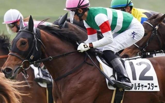 母は桜花賞馬のハープスター ヴァルチャースターが初勝利なるか