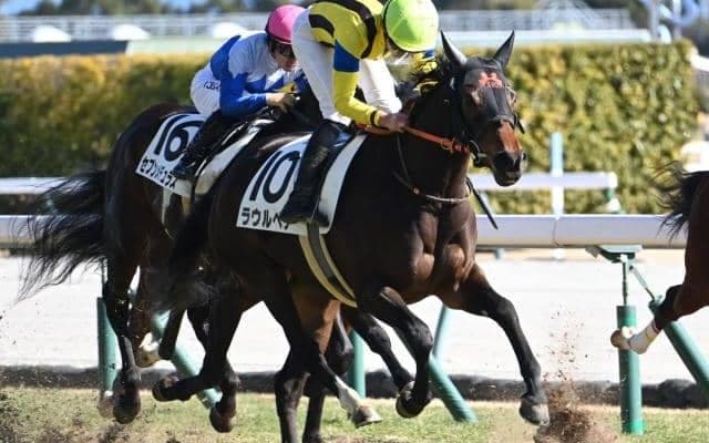 【中京5R新馬戦結果】エピファネイア産駒ラウルベアが差し切りV