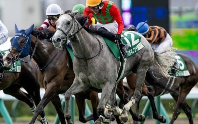 昨年のクイーンSを制したコガネノソラが骨折 休養期間は未定