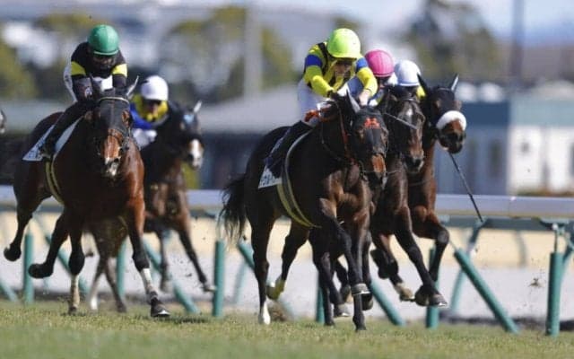 【新馬/中京5R】7番人気の伏兵ラウルベアがデビューV