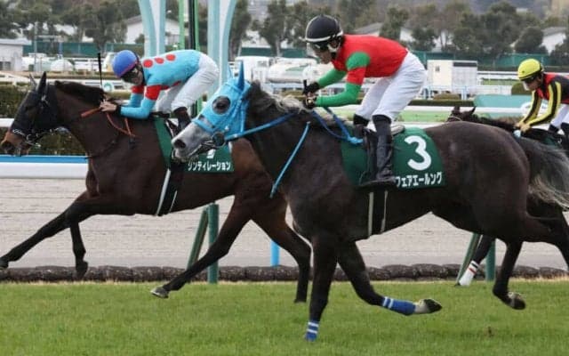 【小倉牝馬S】フェアエールング、シンティレーションが同着V