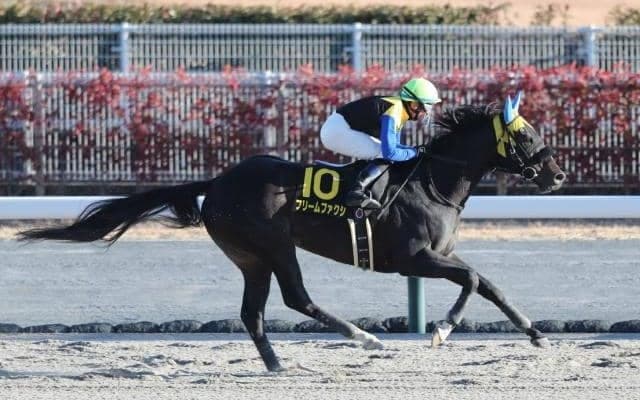 東京で根岸Sと京都でシルクロードSの2重賞/今週の競馬界の見どころ