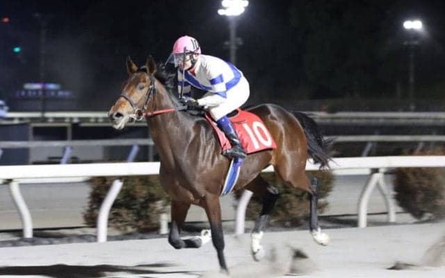 【高知・土佐水木特別】リケアカプチーノが5馬身差圧勝…赤岡「よく頑張ってくれた」