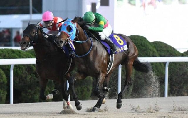 【根岸S登録馬】タガノビューティーなど23頭