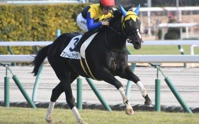 【根岸S見どころ】底力上位のフリームファクシの連勝に期待