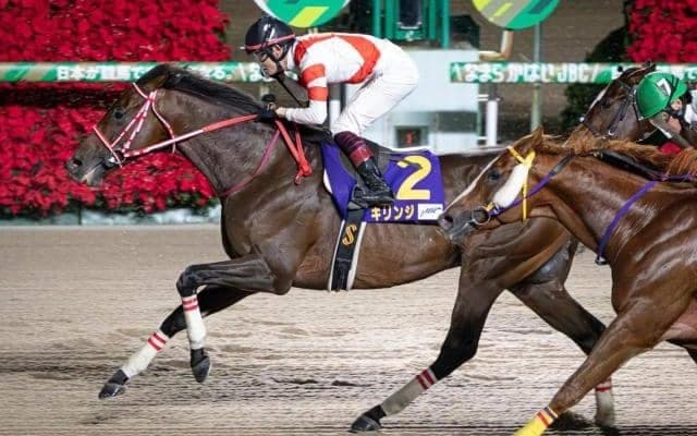 【大井・金盃枠順】ダート2600mのスタミナ比べ JBCクラシック3着馬キリンジは7枠12番