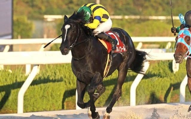 【先週のJRA抹消馬】23年兵庫ジュニアGP覇者イーグルノワール、サリオス＆サラキアときょうだいのサリエラなど