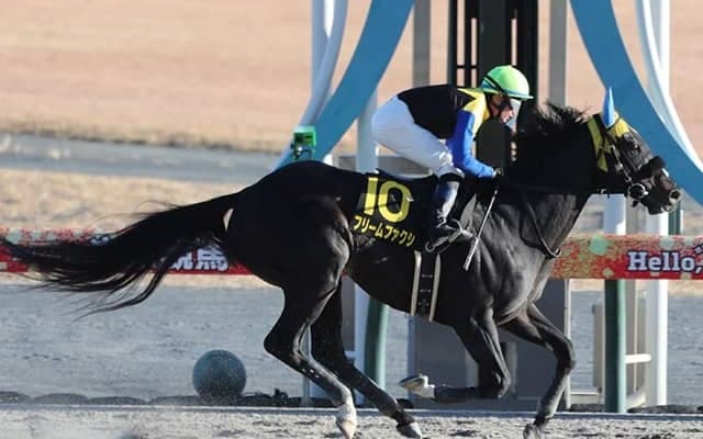 【根岸S想定騎手】フリームファクシはM.デムーロ騎手、サンライズフレイムは藤岡佑介騎手
