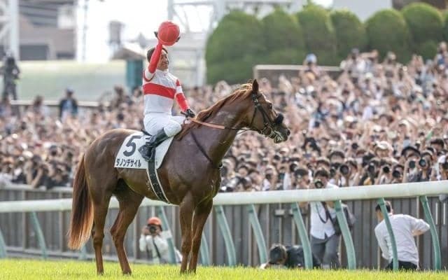 ダノンデサイルの今後はドバイを視野に JRA賞受賞で安田師明かす