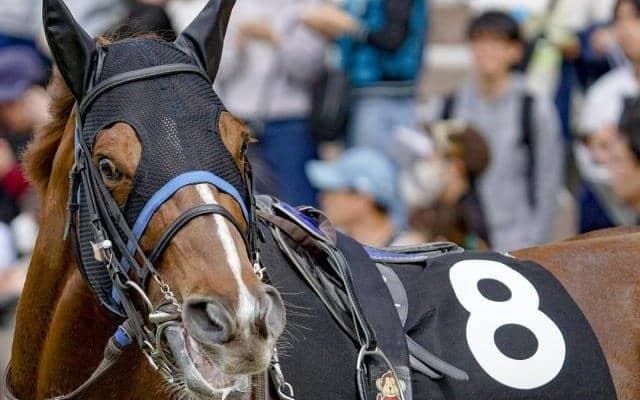 日本人騎手が20連勝中のシルクロードS ルメートル騎手が2人目の外国人ジョッキーVなるか
