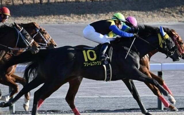 【根岸S予想オッズ】フリームファクシが予想1番人気