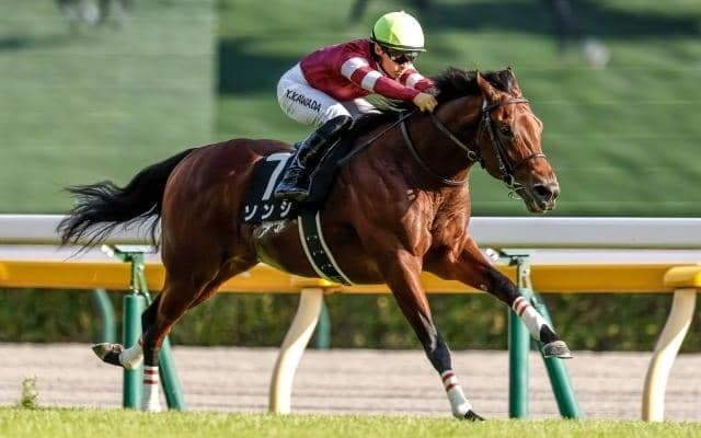 【シルクロードS予想オッズ】ソンシが予想1番人気