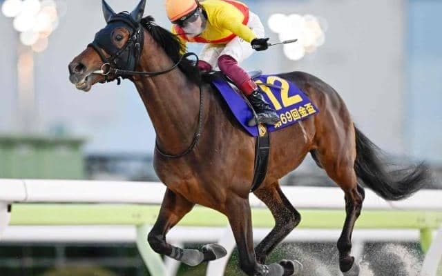 【大井・金盃結果】キリンジが6馬身差圧勝で重賞初制覇