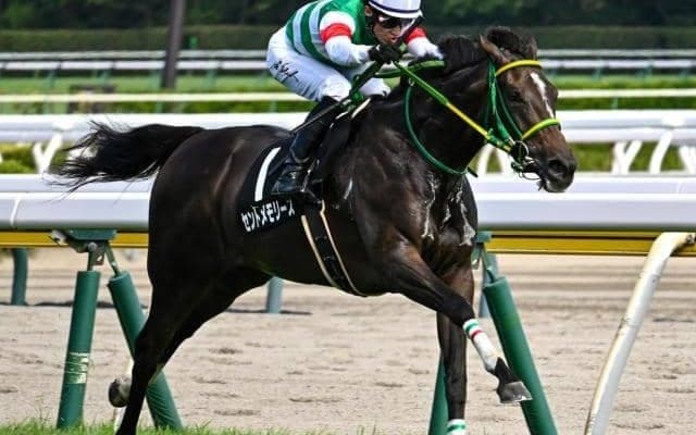 父の産駒初のスプリント重賞Vへ 3連勝中のエピファネイア産駒がシルクロードSに参戦