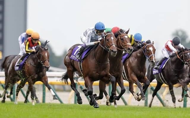 2000人が選んだ24年“神騎乗”ランキング ドウデュースの末脚に「一生忘れられません」