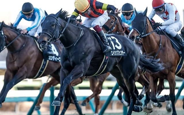 9年目の川又賢治騎手がJRA重賞初制覇狙う 前走11番人気Vの相棒とシルクロードS参戦