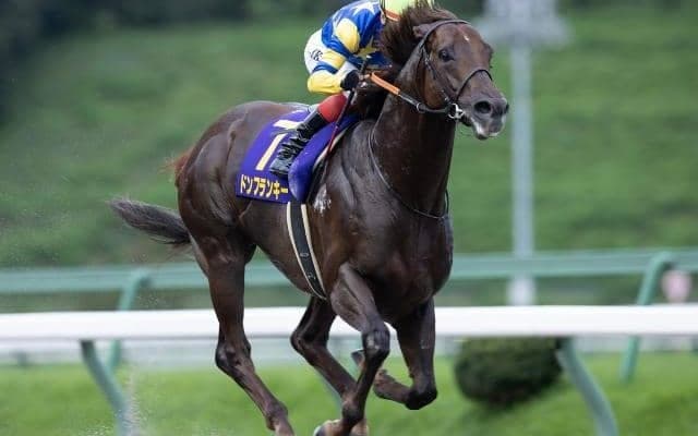 【根岸S予想】AIの推奨はDG競走3勝の実力馬 コース実績ありながら妙味にも期待大