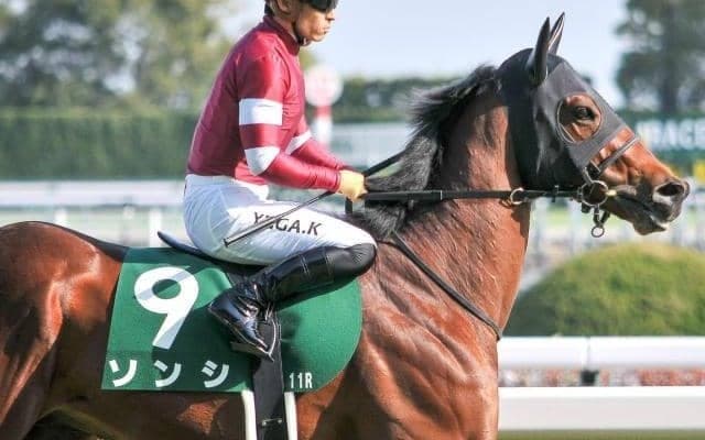 「ウマ娘」藤田晋オーナー所有の芝短距離“主役”候補 連勝で重賞初V目指す