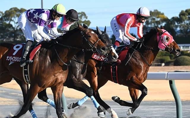 厩舎解散まで残り1カ月の名伯楽 「M6」に迫ったJRA1000勝に向け国内外でラストスパート
