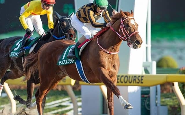 史上5頭目のJRA・GI芝ダートW制覇 モズアスコットの二刀流挑戦から5年