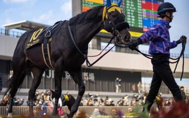 ダート1400mは勝率100％ 良血1.4億円馬が根岸Sで芝ダートW重賞制覇狙う