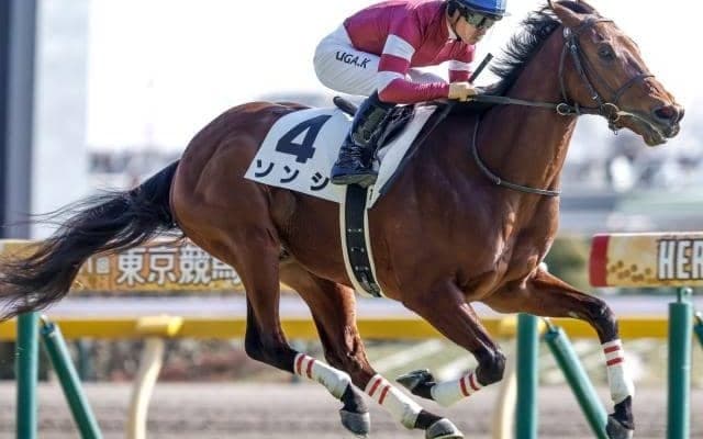 【シルクロードS出走馬・騎手確定】ソンシ＆川田将雅騎手、カピリナ＆戸崎圭太騎手など17頭