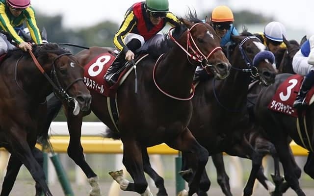 きょうだいにGI馬ズラリ 矢作芳人厩舎ゆかりの超良血馬が初陣V狙う
